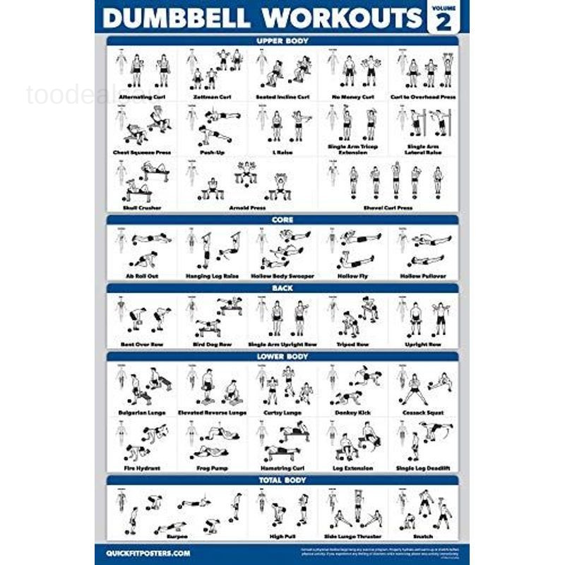 3 Pack - Dumbbell Workout Posters for 18" x 24", LAMINATED