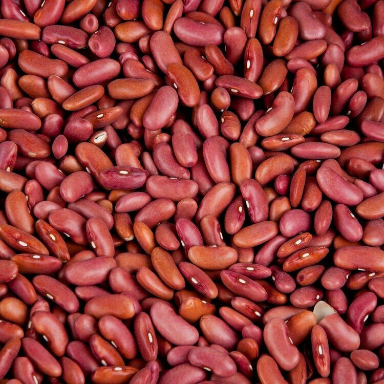 Large Kidney Beans