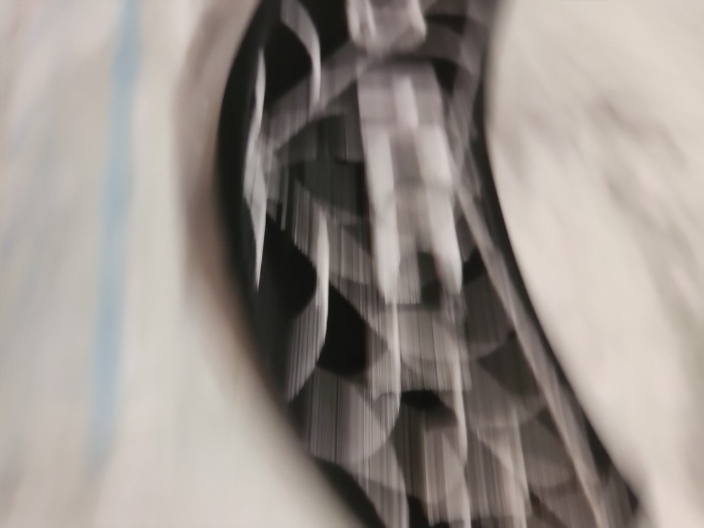 2011 HOG Harley Owners Group Jacket Vest Patch Spider 🕷 Web SHIPS FREE