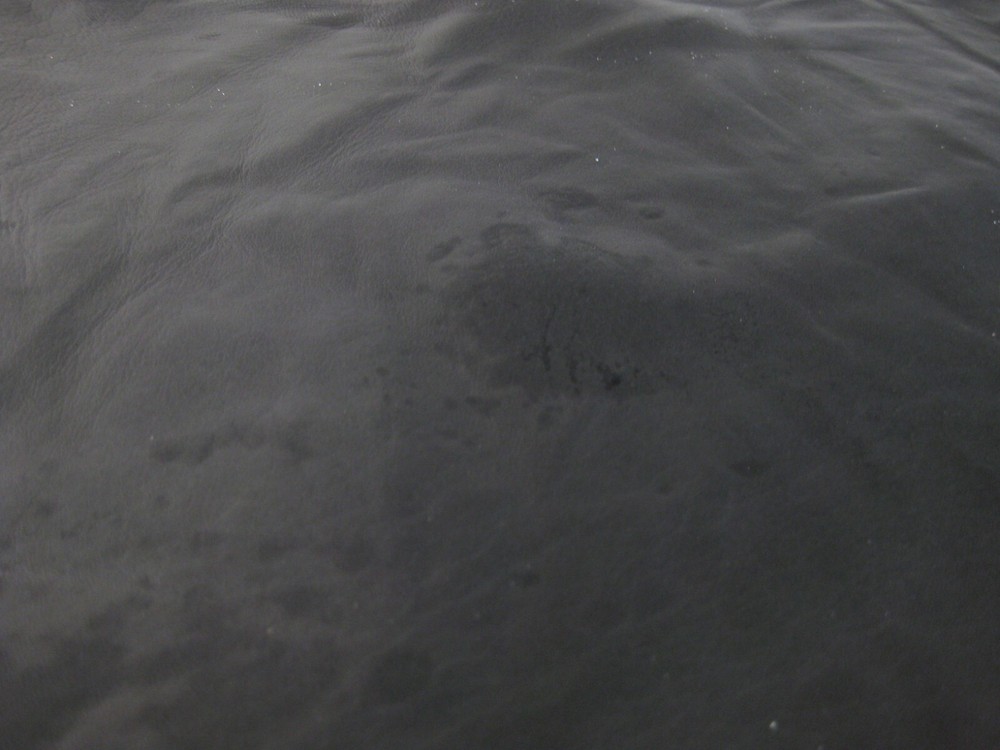 Top Grain Deer Leather #0016076 Row N
