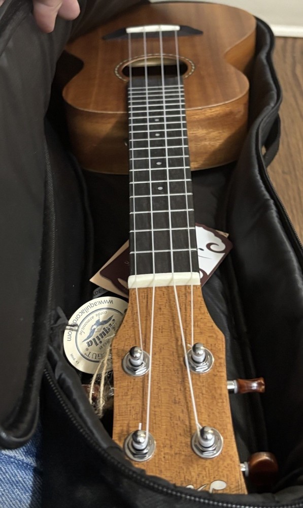 Donner Model DUC-1 Ukulele in Case