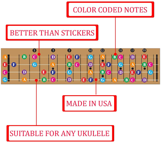 Color Coded Ukulele Guitar Fretboard Note Chart Learn to Play Guitar