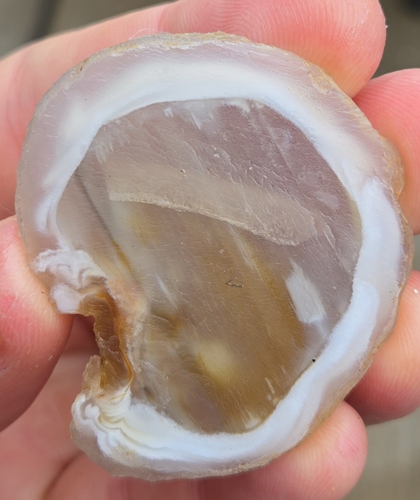 5 Oco Agate Geode Slices - Rough, Natural, Not Polished Lapidary