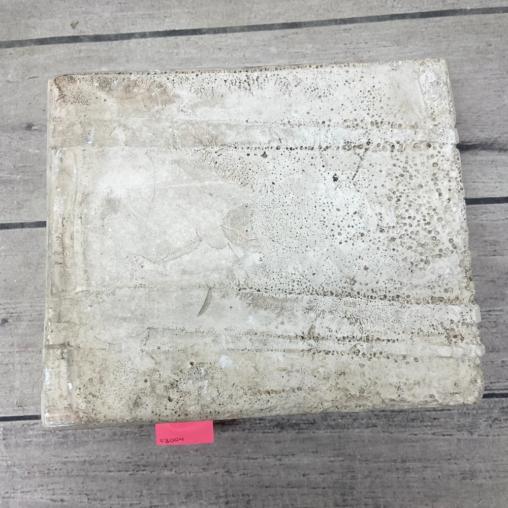 Unbranded Ceramic Casting Mold Leaves #325