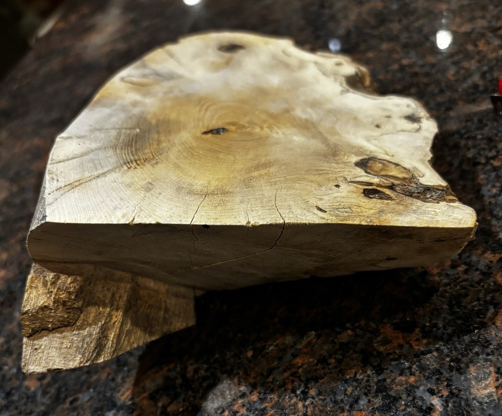 Spalted Live Edge Willow Slab 8.5”x8”x2-4”