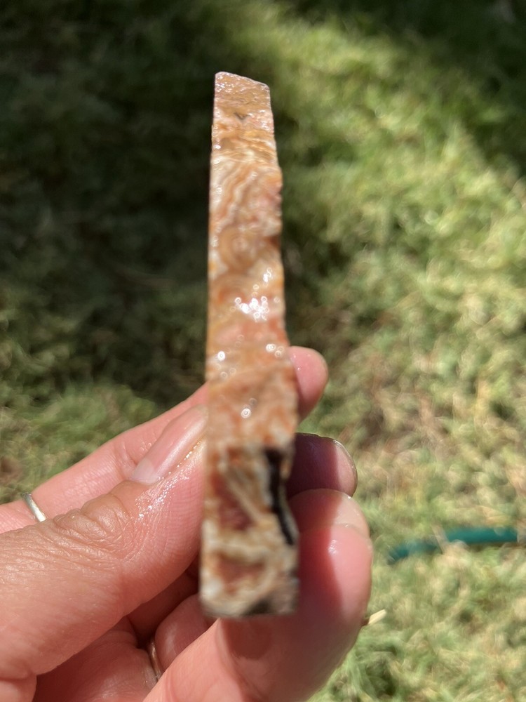 Dryhead Agate Slab (Montana)