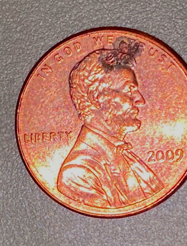 2009 Log Cabin Bicentennial Lincoln Penny