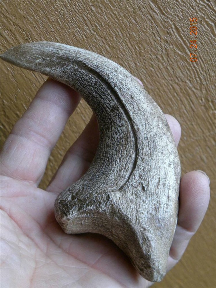 HUGE Deinonychus velociraptor claw replica 7" REPLICA