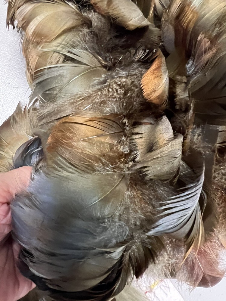 feathers for cowboy hats