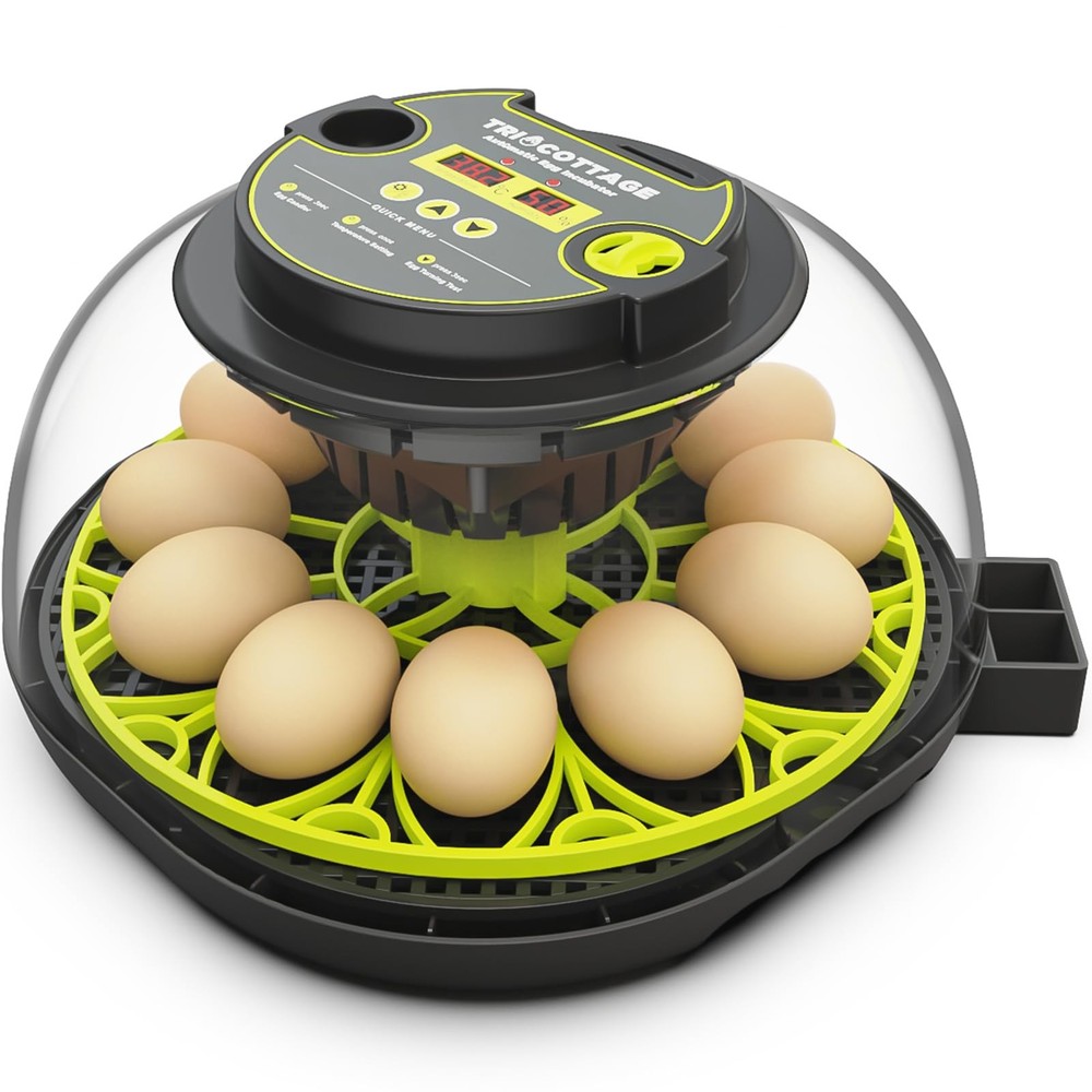 Incubators for Hatching Eggs 12 Egg Incubator with Automatic Egg Turning and ...
