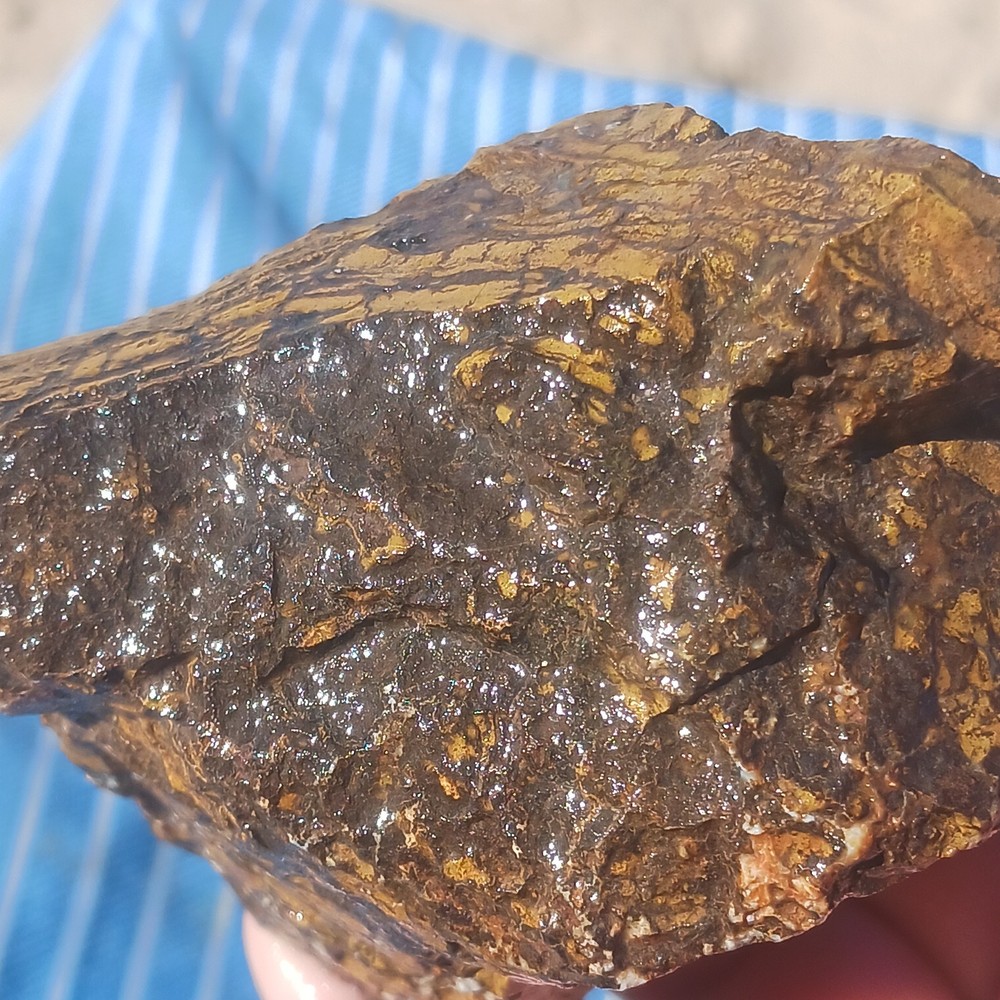 Jasper Rough Specimen Display Lapidary Potential