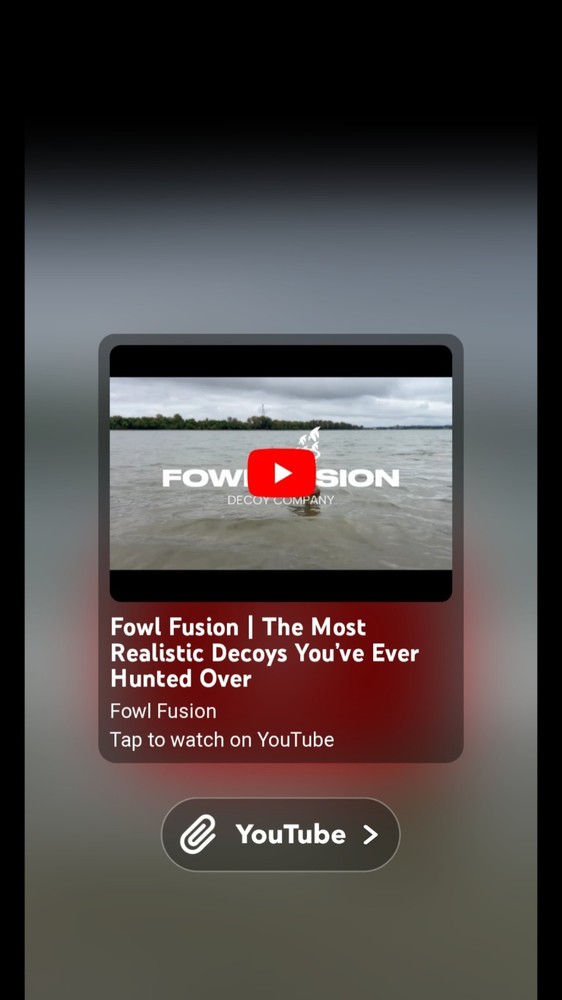 Automatic Duck Decoy Motion System