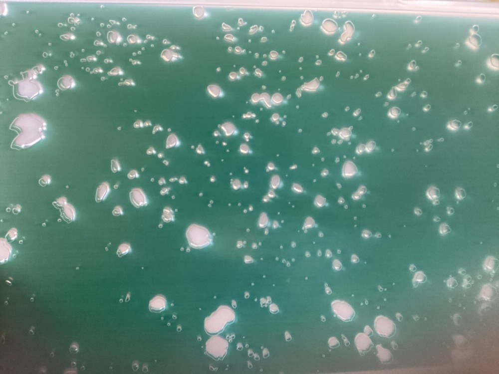 Slimline Paint Splatter Drips Embossing Folder