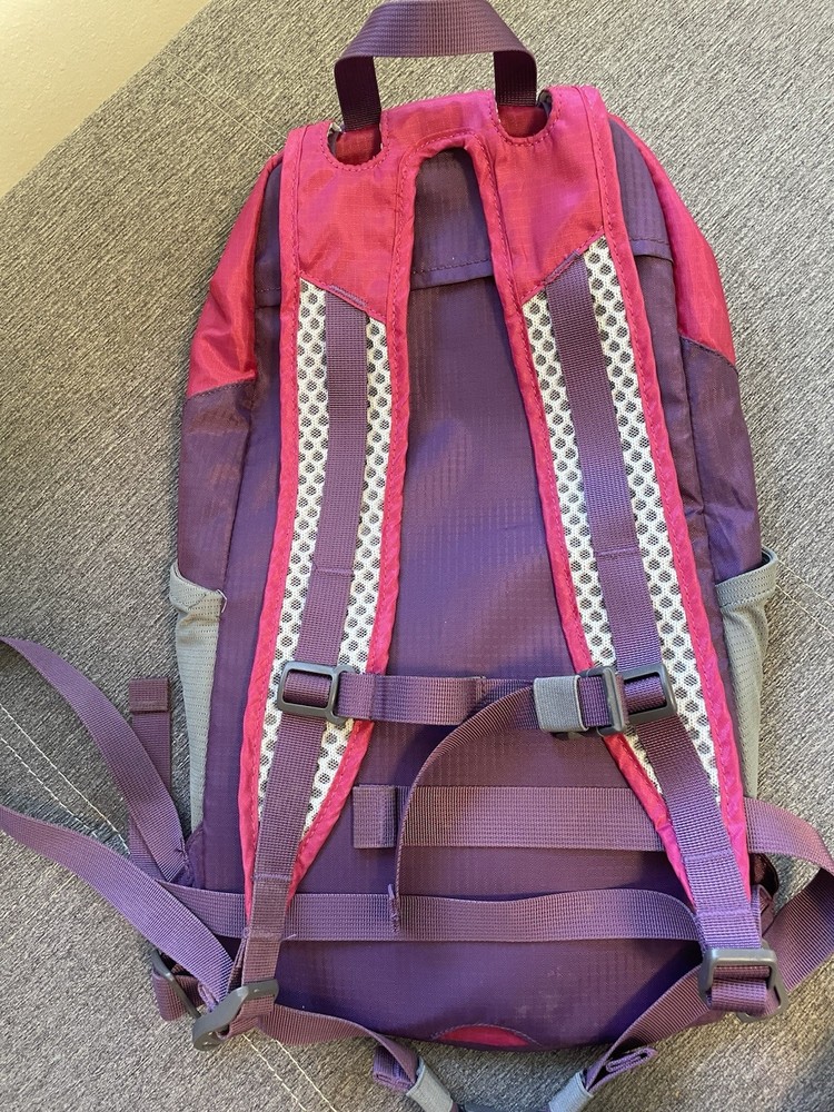 Cloudveil Backpack Pink Purple Lightweight Removable Foam Insert