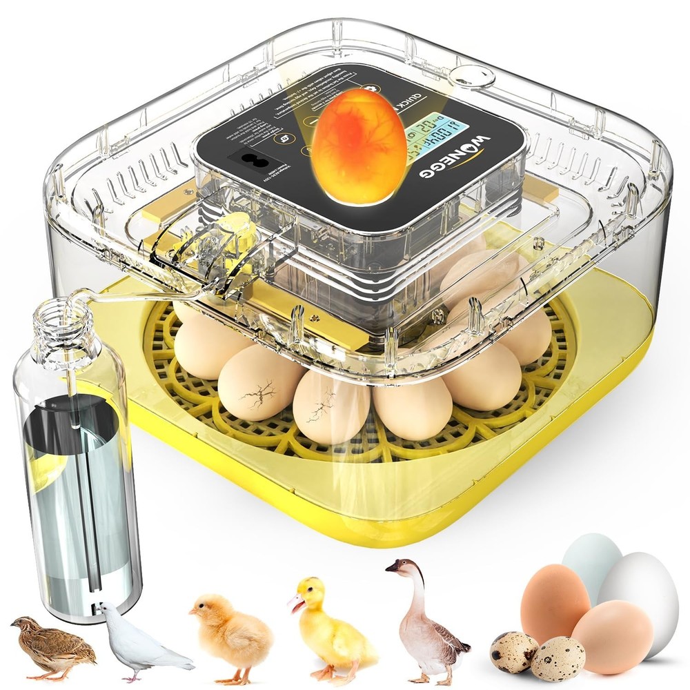 HOWOOlUA 12 Egg Incubator for Hatching Eggs with Auto Turn, Temp & Humidity C...
