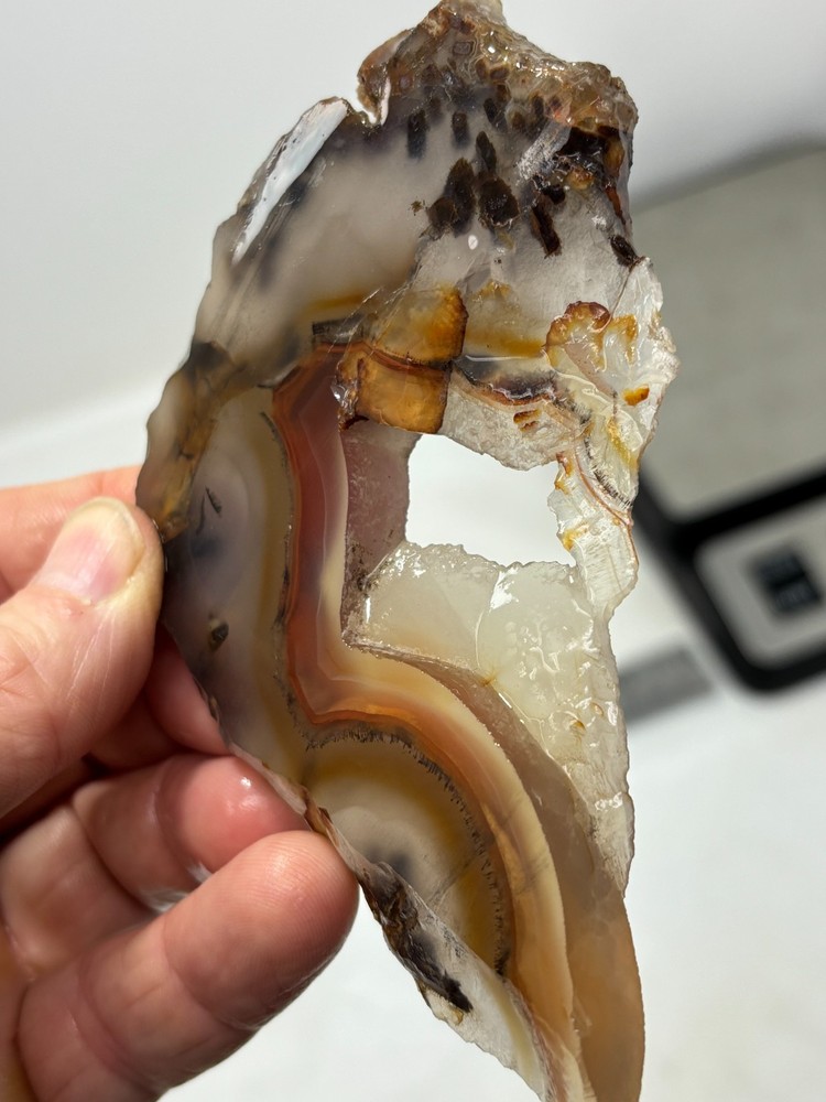 Turkish Stick Agate slab Cabbing Lapidary Collecting Combo Ship aval