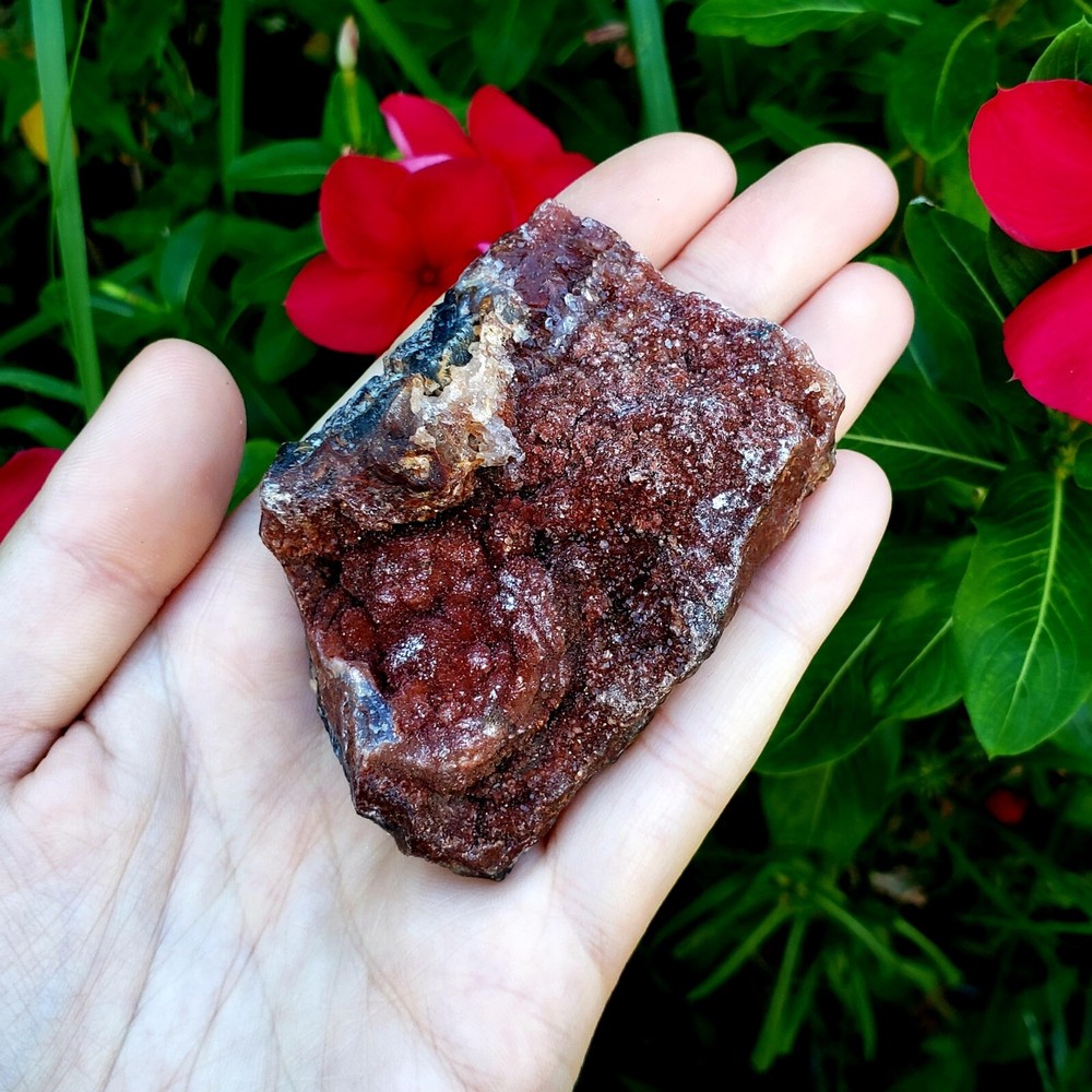 Fossilized Agate shell Cluster druzy natural crystal healing gemstone - #3