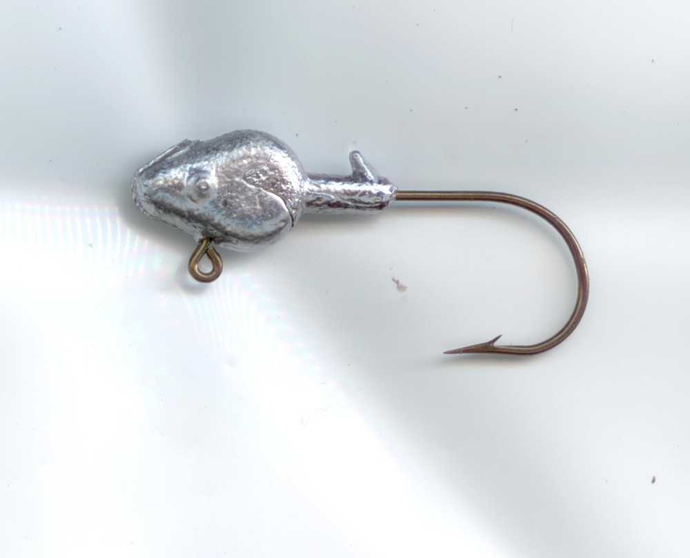 10 MINNOW HEAD JIGS