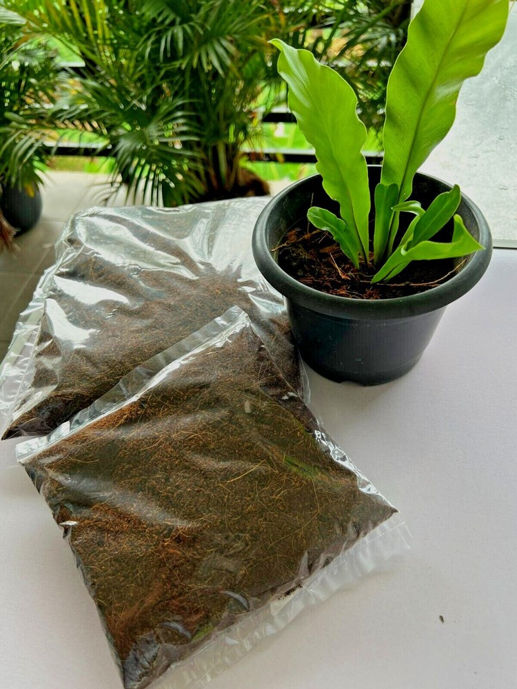 Coconut Coir, Coco Peat Compost, Organic Soil Media Hydroponics Substrate