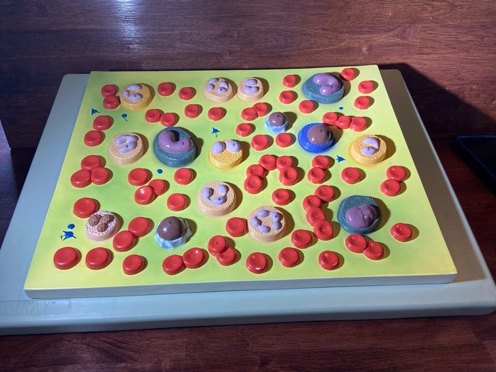 Altay Human Blood Cell Types Model