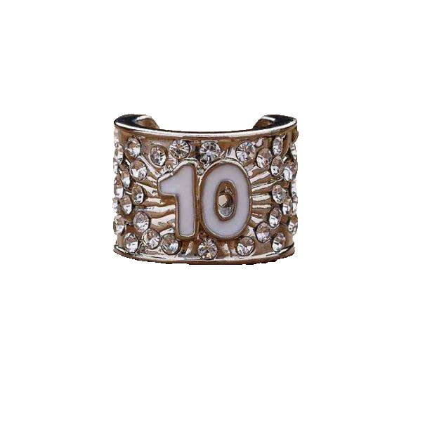CharMED Stackable Personalize Stethoscope Bling Charm | 10 Year Milestone