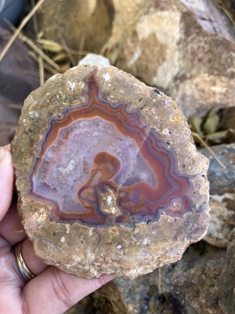 Laguna Agate Slab