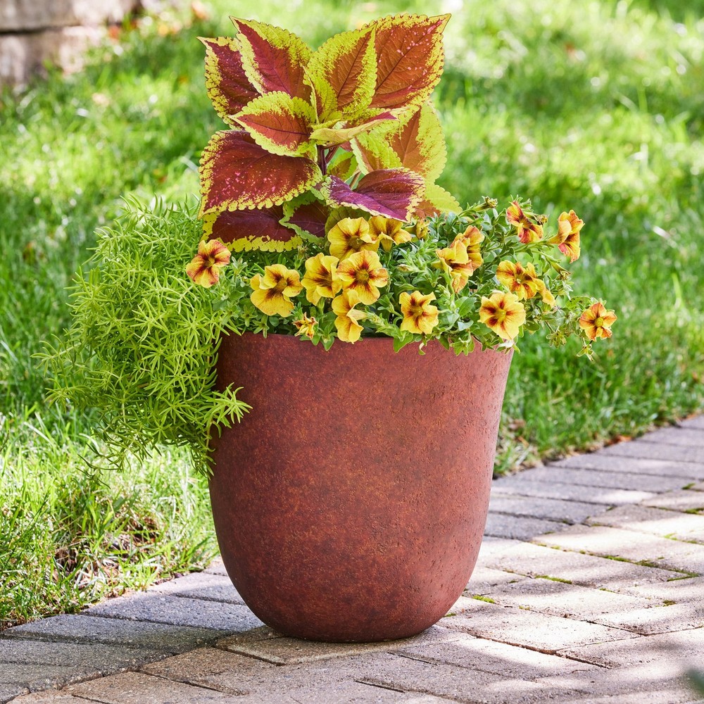 12-inch Rust Finish Cash Planter