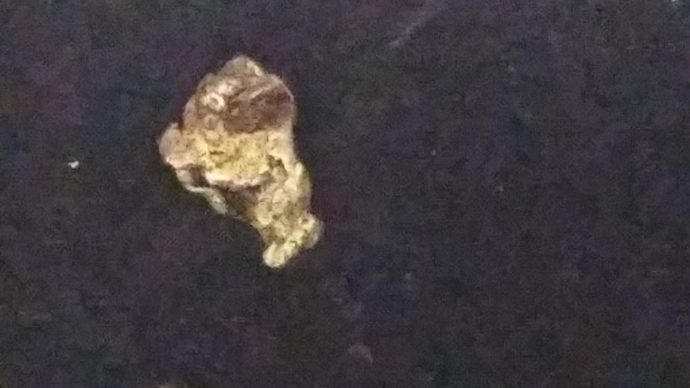 Gold Nuggets