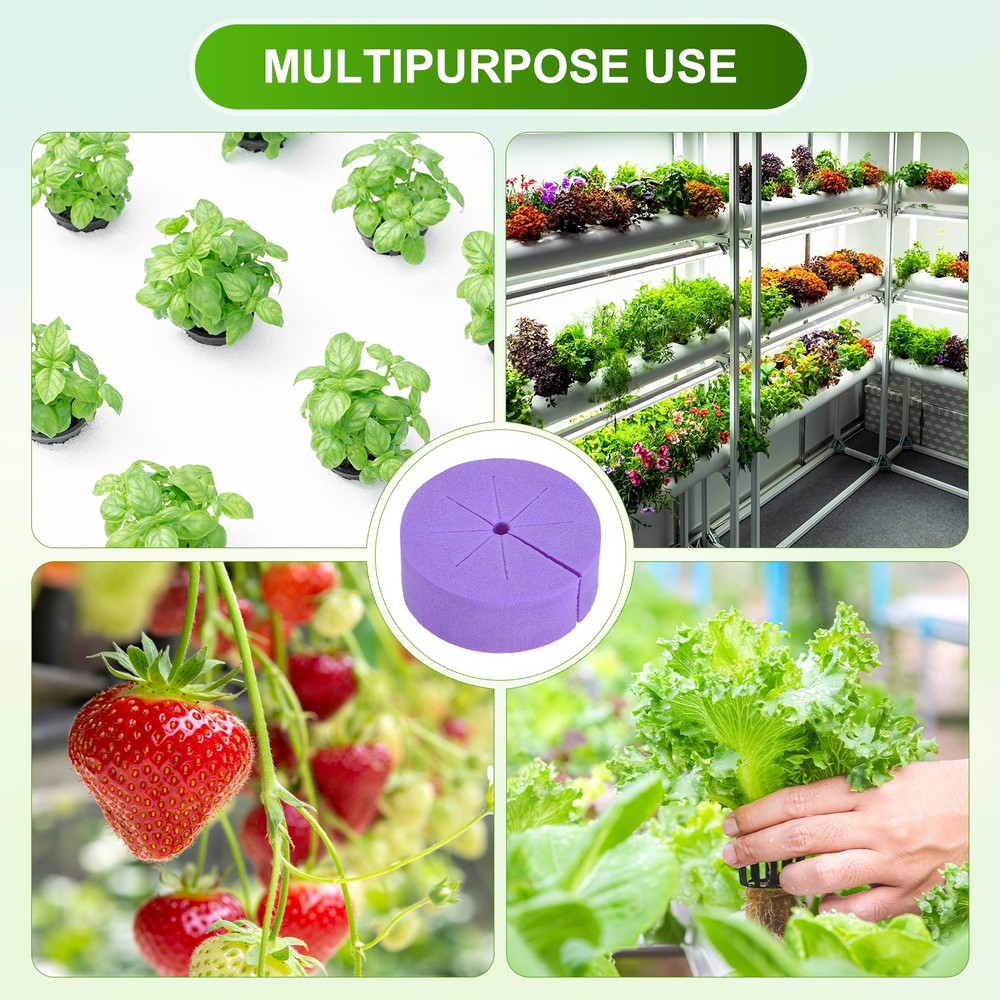 30-Pack Cloning Collars Inserts, Hydroponics Sponge Systems Cloning [Purple]