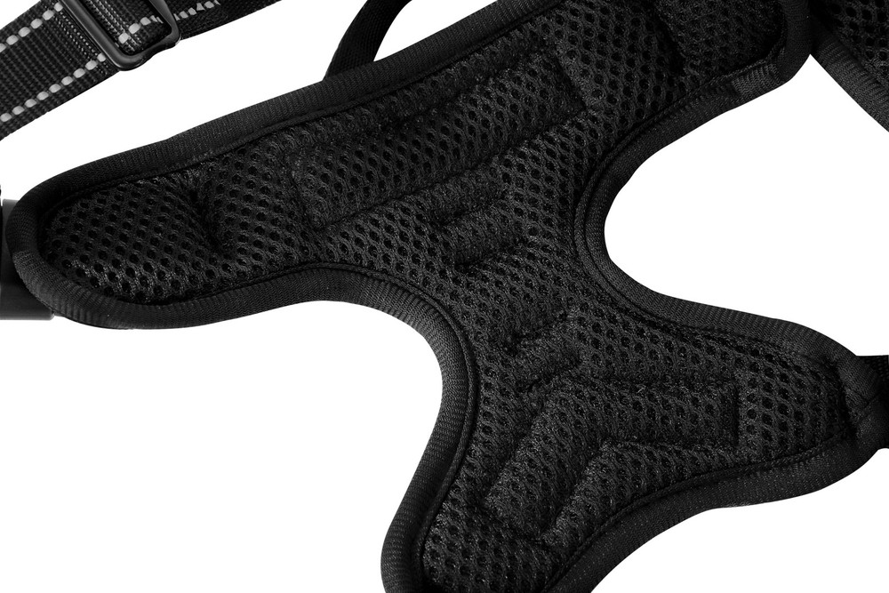 Azinoo Black No-Pull Dog Harness with 2 Leash Clips，Soft Padded Small,