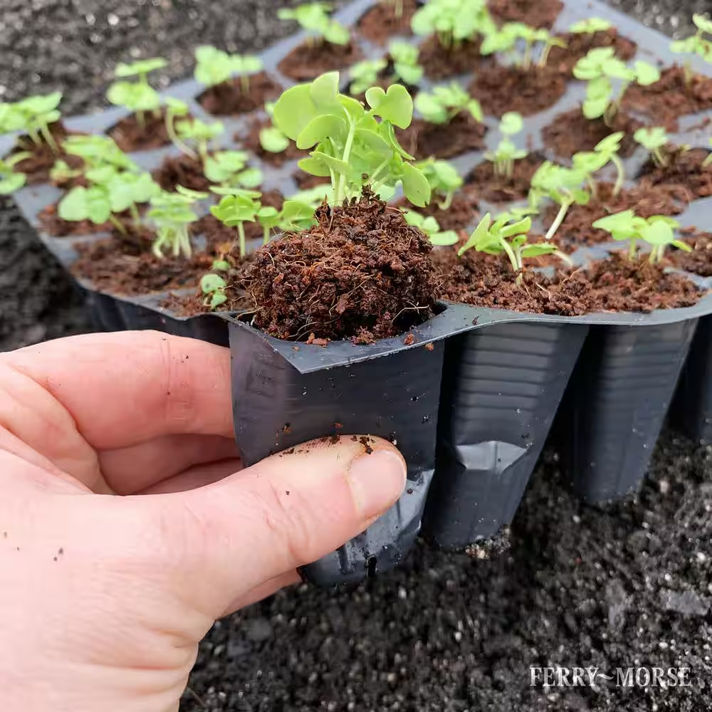 Pro-Hex Seed Starting Tray Kit