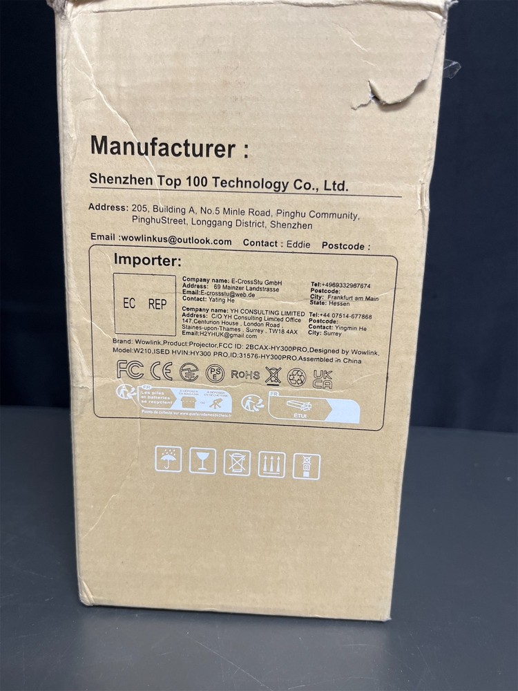 Wowlink smart projector