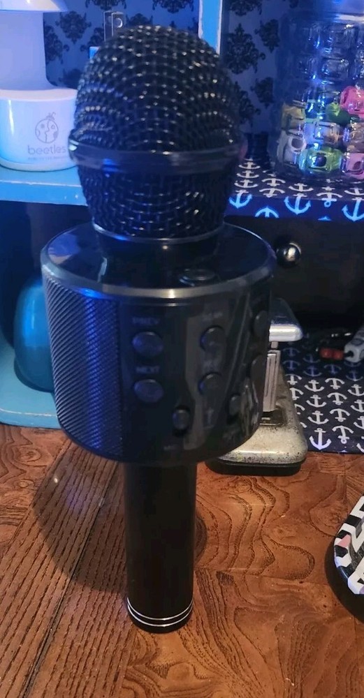 Family Game Night Microphone, Rechargeable