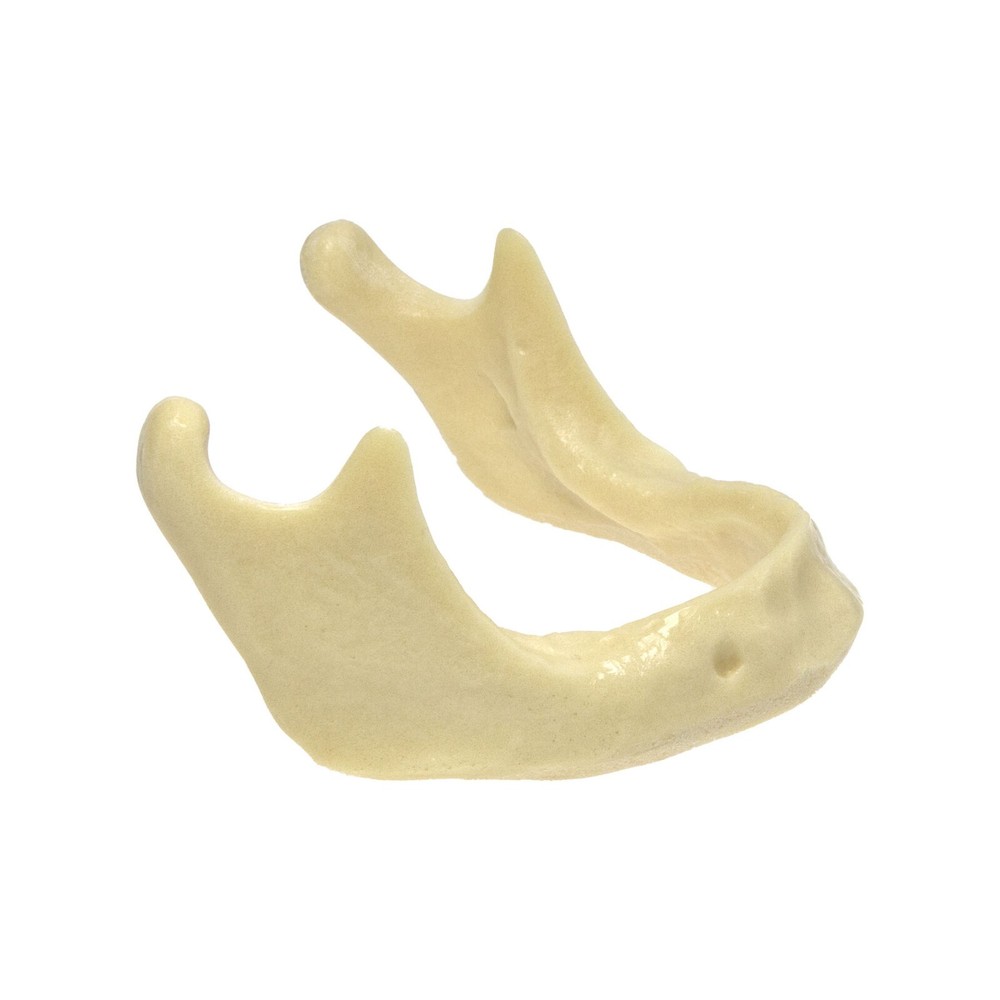 Dental Implant Practice Model, Lower Jaw Drilling, Maxillary Sinus Lifting Type