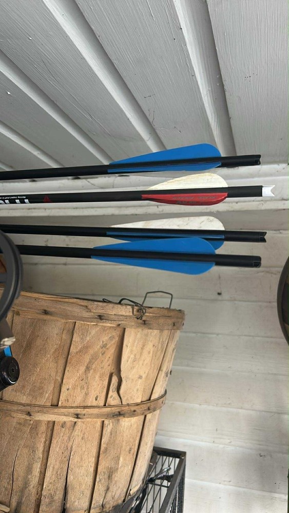 pse fang hd crossbow