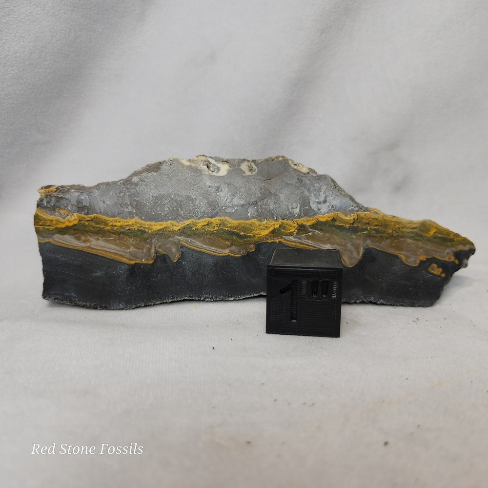 Bumblebee Jasper Slab