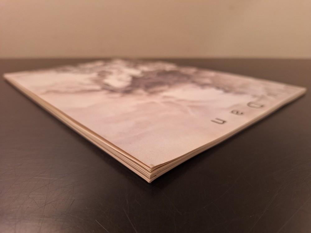 Liu Dan Alternative Visions 1993