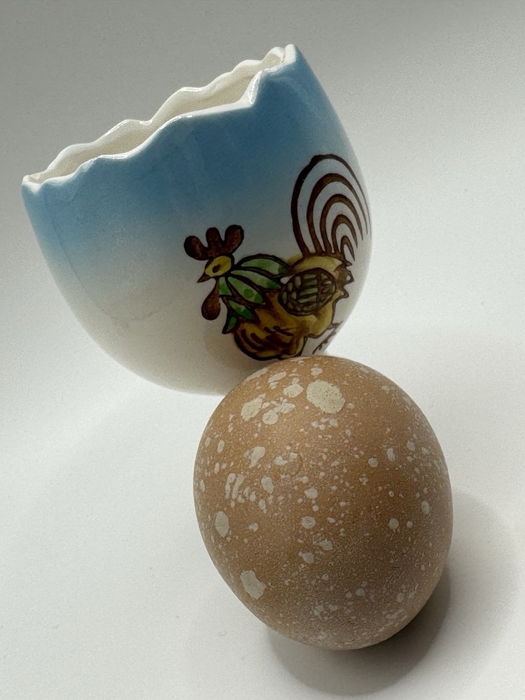 Hatching Chicken Eggs 10+ Speckled