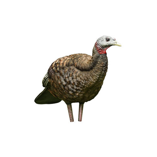 Avian-X LCD Breeder Hen Collapsible Turkey Decoy
