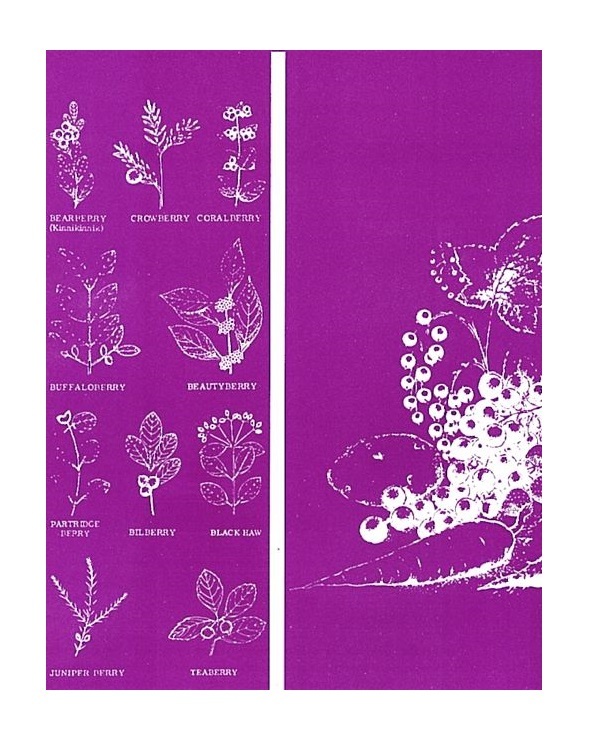 WINE RECIPE BOOK WINEMAKERS RECIPE HANDBOOK - MAKE OVER 100 PROVEN TESTED WINES