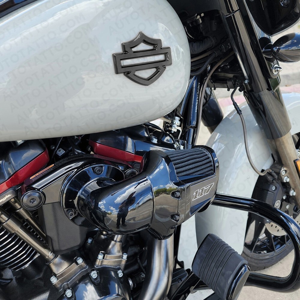 Harley CVO Custom Tank Emblems, Gloss Black Double Layer (set of 2)