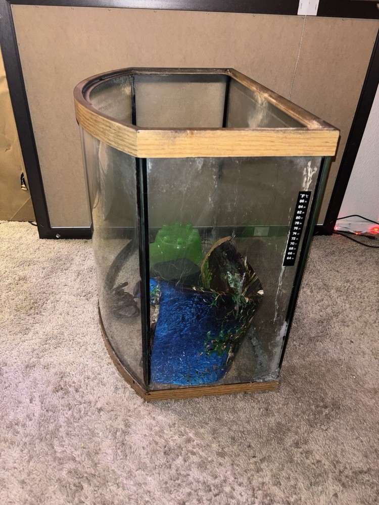 36 Gallon Fish Tank + Decor! (PLEASE READ DESCRIPTION!)