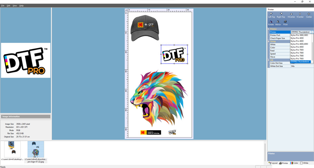 DTF RIP V11 Software Desktop Version USB Flash Drive/Dongle