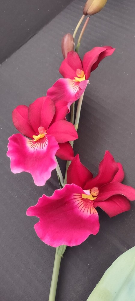 ARTIFICIAL miltoniopsis orchid plant FUCHSIA