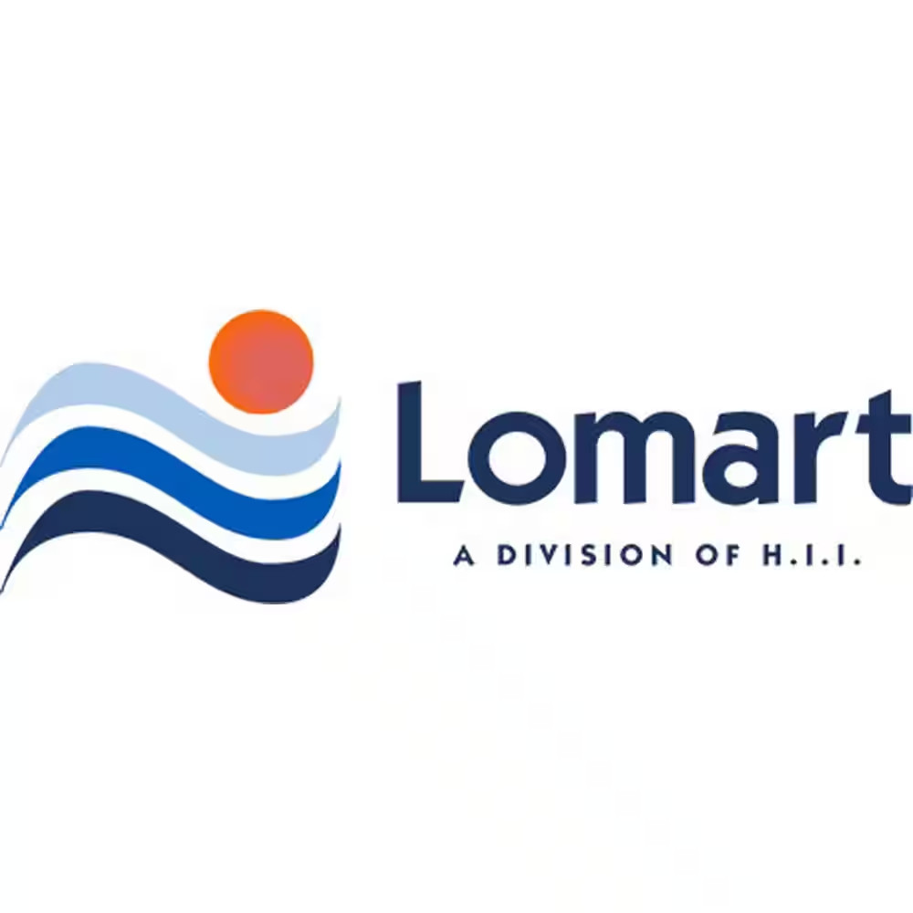 Hoffinger Thru-Wall Pool Skimmer