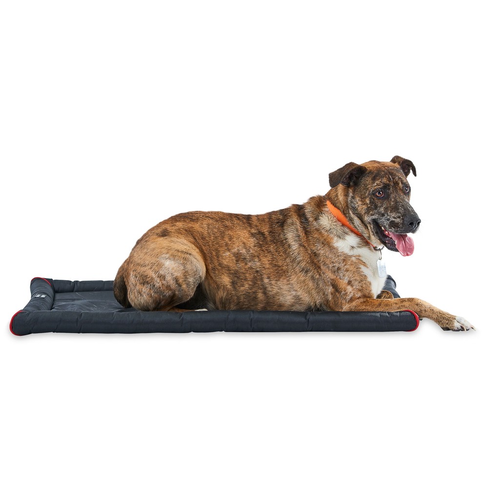 Durable & Water-Resistant Dog Crate Mat, Black, 42"