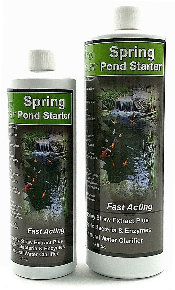 Spring Pond Starter Bacteria Plus Liquid Barley Extract