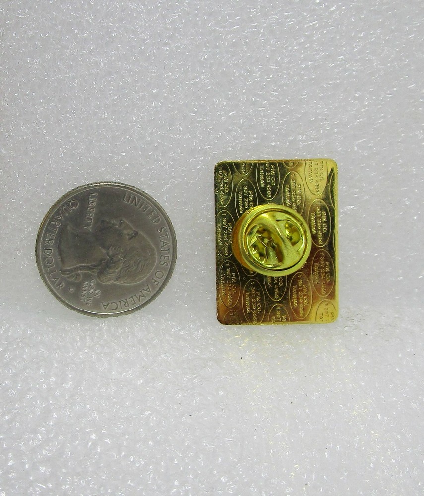 Nashville Hornets Pin