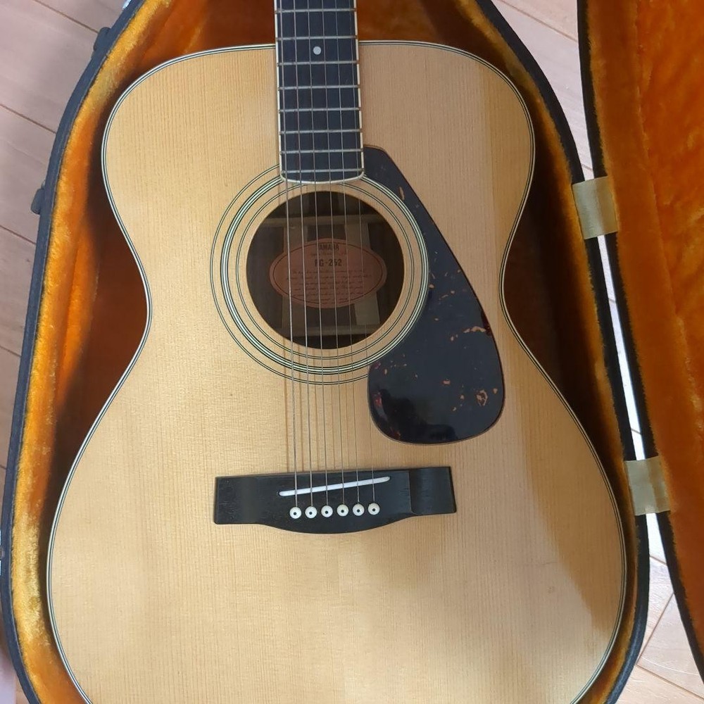 YAMAHA FG-252 with Case