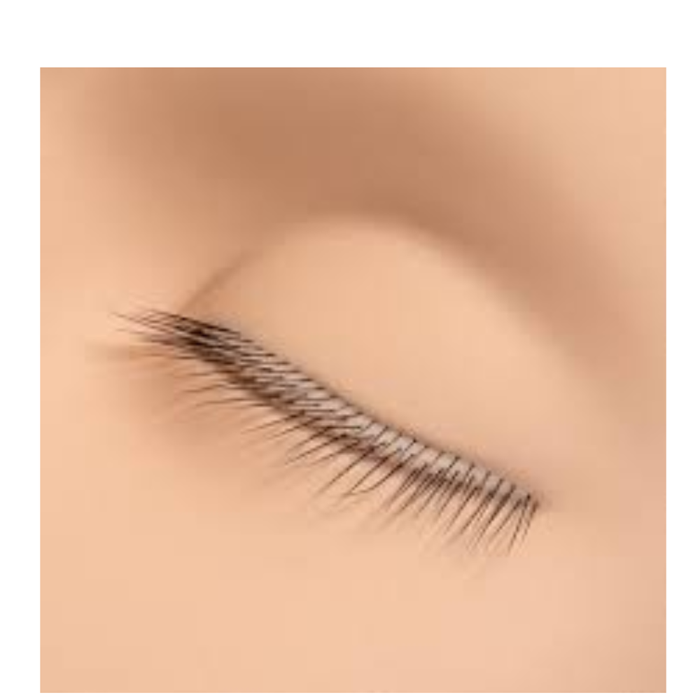 Eyelash Extensions Practice Training Mannequin Head With Layered Eyelashes